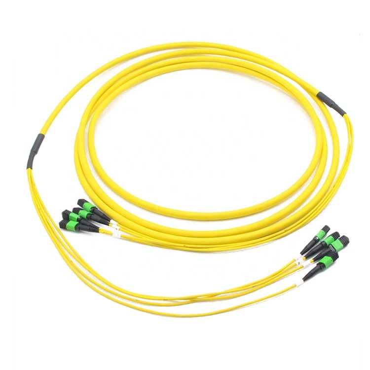 Fiber Optic Patch Cord MPO / MTP Connector 48 Fiber SM Type