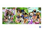 Wall Art 3D Lenticular Picture Flip Cute Cats And Dolphins With 12X17 Inches