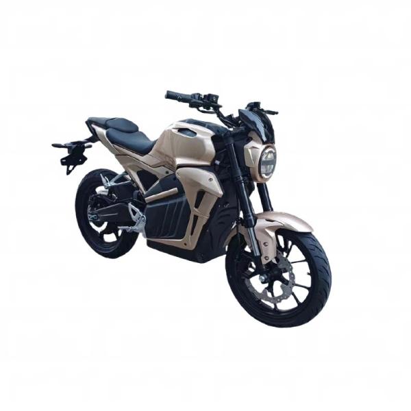Foreign trade long endurance big pedal electric motorcycle high-speed two