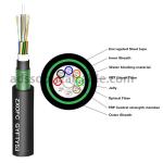 Underground 12 Core Single Mode Armoured Fiber Optic Cable GYFTY53 High Strength