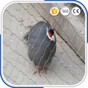 China Small bird 1.2 mm with 30 mm mesh eye size stainless steel wire rope aviary netting factory