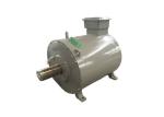Brushless Permanent Magnet Generator , Water Turbine Wind Turbine Generator