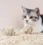 Strong Clumping Mixed Cat Litter Dust Free Kitty Litter Sand