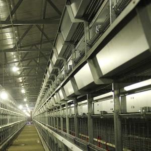 China Galvanized Steel A Cage For Poultry , Automatic Ladder Layer Chicken Cage factory