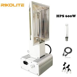 China Hydroponic 600 Watt HPS Grow Light 1080umol/s Greenhouse Grow Lights factory
