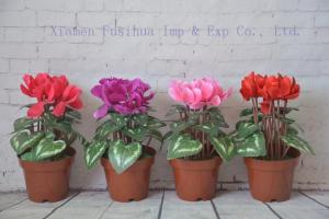 China Hot Sell Potted Silk Flowers factory