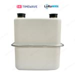 Wall Mounted Direct Connect Pre Payment Type LoRaWAN Gas Meter With 300bps