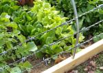 Q235 Low Carbon Steel Fully Galvanised Barbed Wire 12 Guage Hot Dipped