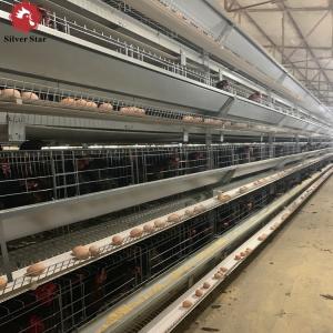 China Automatic Egg Layer Chicken Battery Cages Farm Laying Hens Poultry factory