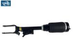 1643206013 Mercedes Benz Air Suspension Parts Mercedes Ml W164 Front Shock