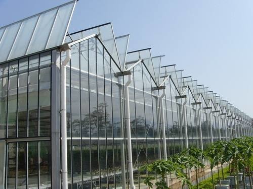 China Simple Constructure Commercial Glass Greenhouse With Galvanized Steel Screws / Bolts factory