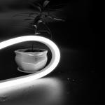 DMX512 SMD5050 Waterproof LED Strip Light Addressable