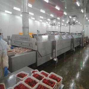 China N2 Liquid Nitrogen Super Low Temperature Freezer 2800KG/H 3500KG/H factory