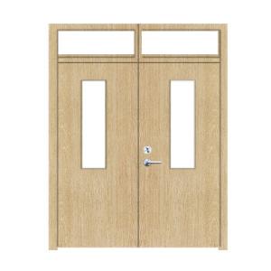 China Dark Grey Color Powder Coating Self BS Fire Rated Door With Vertical Glass/ 16-18 Ga. Gal. Steel factory