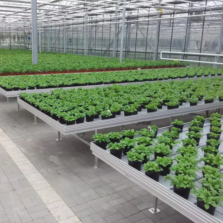 Aluminum Frame Greenhouse Rolling Benches / Ebb And Flood Benches Tidal Nursery