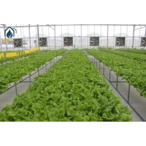 China NFT Hydroponic Lettuce Grow Hydroponic System With Vegetable Hydroponic Tubes on sale