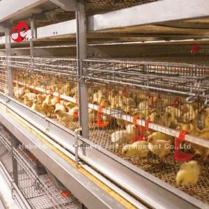 China Cage Wire Diameter 2.8mm-3.5mm Layer Farming Cage System With Automatic Drinking System Adela factory