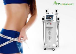 China 3 size 4 handles cryo handles cryolipolysis equipment slimming lipocryo factory