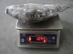 Frozen Tilapia Whole Round Size 800g up