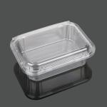 Takeaway Packaging 13.5cm Disposable Plastic Food Box