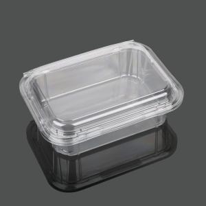 China Takeaway Packaging 13.5cm Disposable Plastic Food Box factory