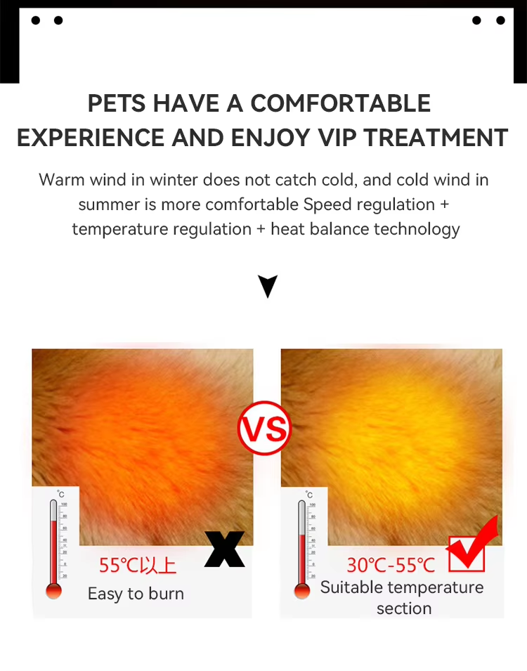 Professional 110V/220V Dog Blow Dryer with Adjustable Temperature and 4 Nozzles for Pet Hair Care