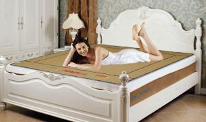 China TT-76 Infrared Heating Mat 530w-560w CE Certification For Prevent Disease factory