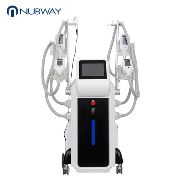 2018 trending products 4 handles fat freeze slimming beauty equipment cryolipoly