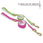 Durable Running Canvas Padded Pet Dog Leash , Colorful European Dog Leash