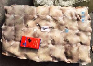 China Block Frozen Illex Squid Wing / Argentina Squid Gmp Certification factory