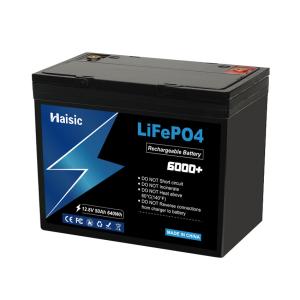 China 25.6V 50Ah 1280Wh Lithium Phosphate Battery Deep Cycle 6000times Ganfeng Cell factory