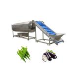 Rotary Drum Herbal Cleaning Machine for Washing 300 KG of Walnuts and Pumpkin