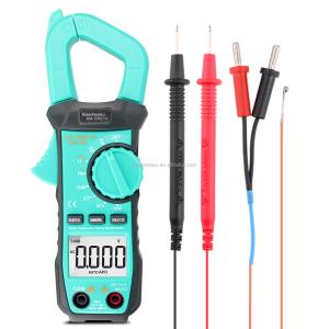 China Mini Clamp Meter Electric Multimeter NCV 1000v Digital AC DC Resistance Meter Display Count 6000 Counts factory