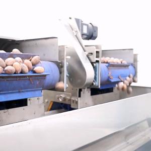 CE Endorsed Pecan Nuts Sorting Machine 7kW 380V Capable 1-2 Tons With 8 Gates
