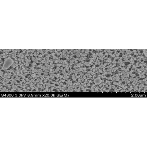 Polyethersulfone PES Microporous Membrane With PET As Supporting Layer In Rolls For Medical Use