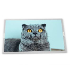 China EV238FHM-N12 23.8 TFT LCD Display Modules Custom TN Industrial Screen with LED Backlight Gold Supplier Complete Range factory