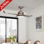 Color Changing Large Airflow Led Light Ceiling Fan Low Noise 2 Blades