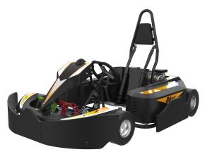 China 4130CrMo Steel Frame Fast Go Karts with APP adjustment control factory
