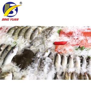 Lowest Price Fully Automatic Snow Flake Ice Making Machine