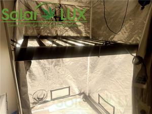 China RJ45 Led Plant Grow Lights factory
