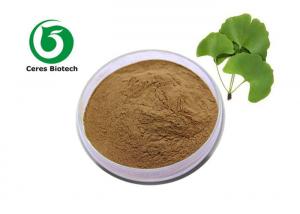 China Health Care Ginkgo Biloba Extract Powder Pharmaceutical Grade Flavone 24% Lactones 6% on sale