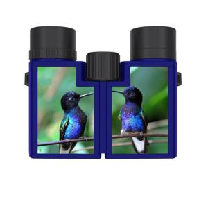 China Foreseen Binoculars kit for kids adults 8x22 for birdwatching hunting factory