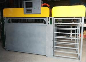 China Sheep Automatic Weighing Sub Group Management System Steel Material factory