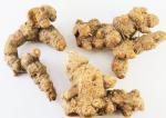 Large Headed Rhizoma Atractylodis , Highly Safe Chinese Herbs For Healing
