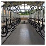 Dairy Farm Goat Cow Herringbone Milking Parlor Glass Bottle Metering System