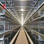 Most Popular H Type Automatic Poultry Farming Cage System For Large Farm Adela
