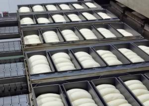 China Continuous Sourdough Proofer factory
