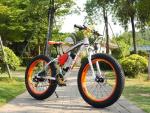 48v 500W 1000w MTB Electric fat Bikes