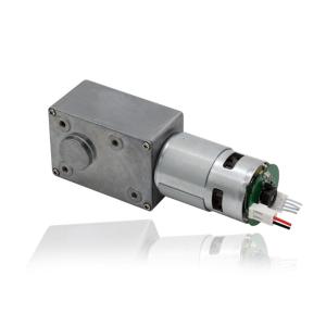 China Factory High Torque Direct Sale Double Shaft Electric 12V 24V 775 Brushed Dc Motor For Power Tools factory