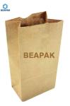 Stand Up PLA Biodegradable Packaging Bag Food Grade